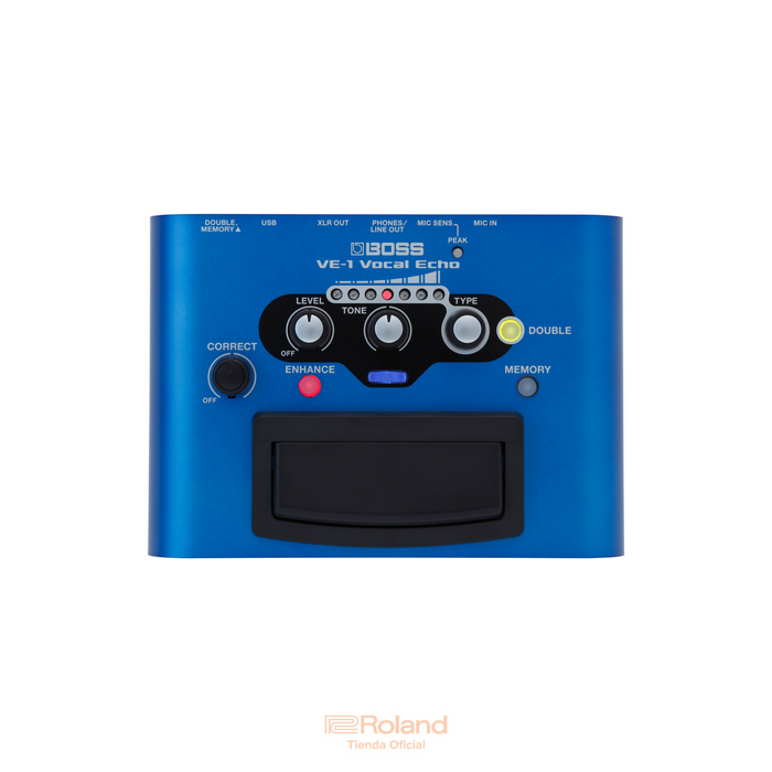 VE-1 Vocal Echo