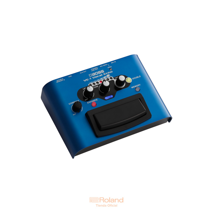 VE-1 Vocal Echo