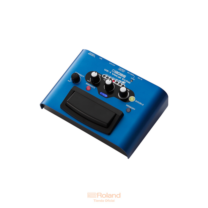 VE-1 Vocal Echo