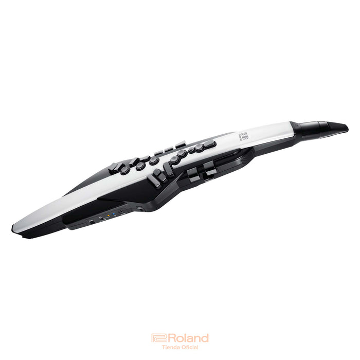 AE-20 Aerophone