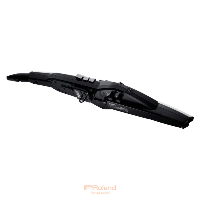 AE-20 Aerophone