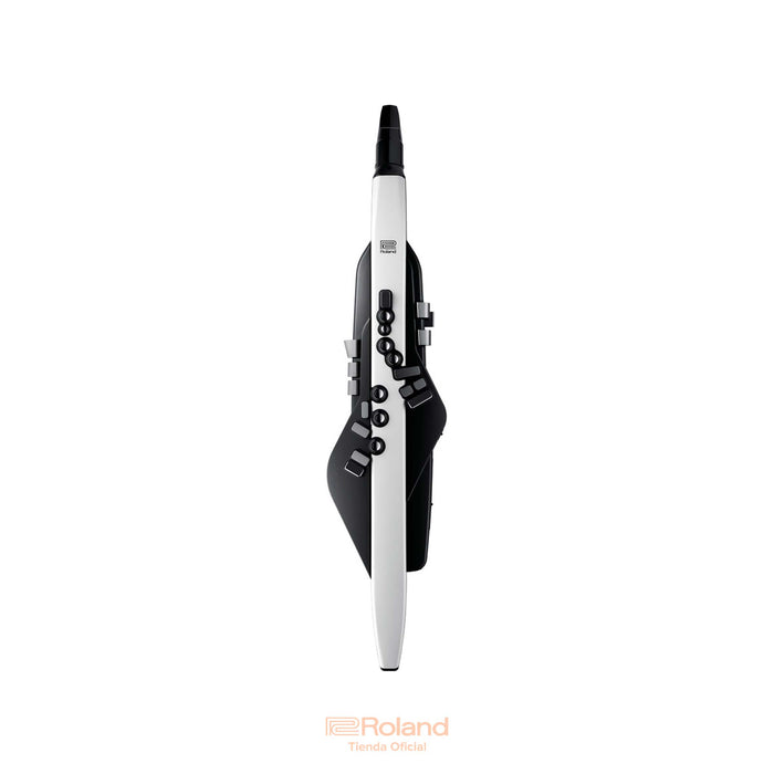 AE-20 Aerophone