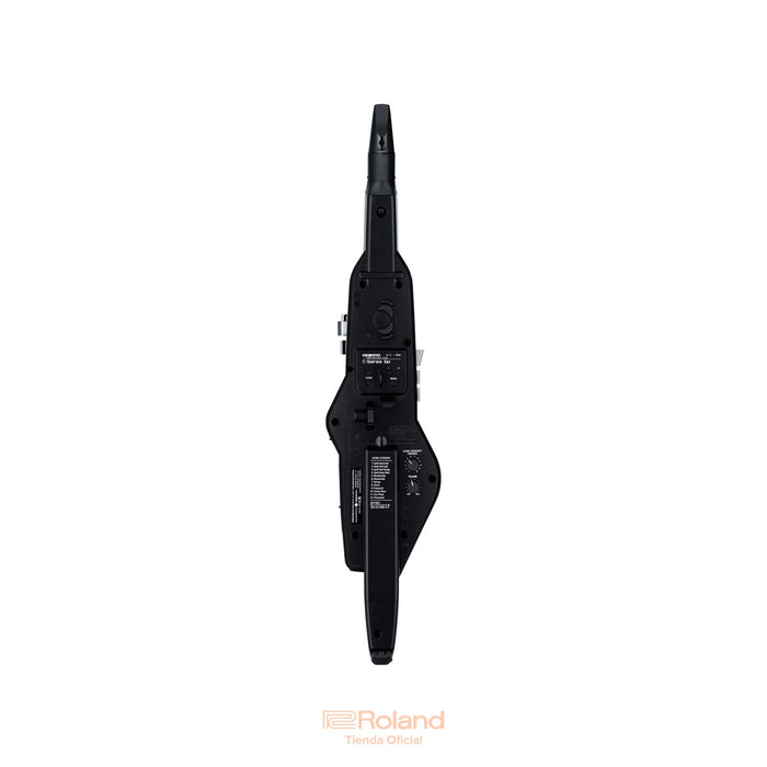 AE-20 Aerophone