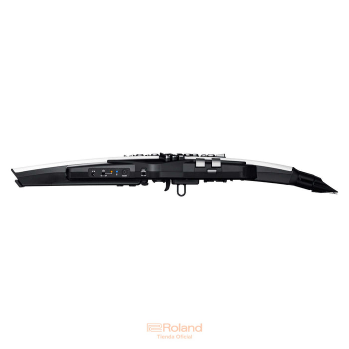 AE-20 Aerophone