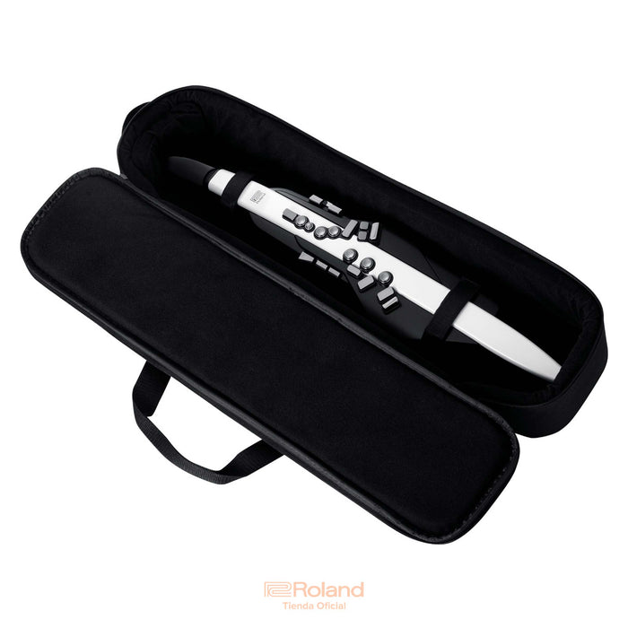 AE-20 Aerophone
