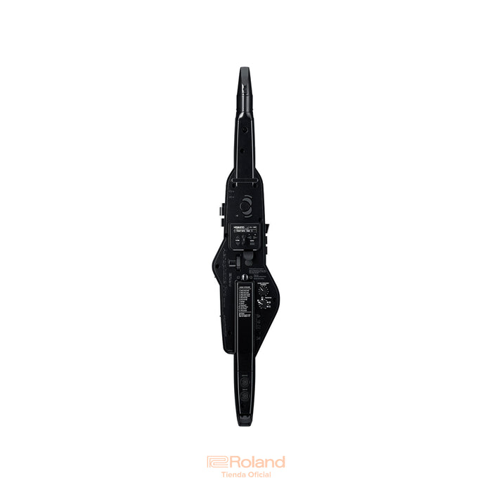 AE-30 Aerophone PRO