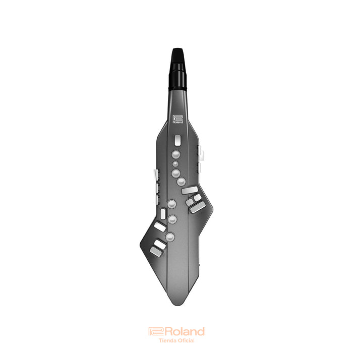 AE-05 Aerophone GO