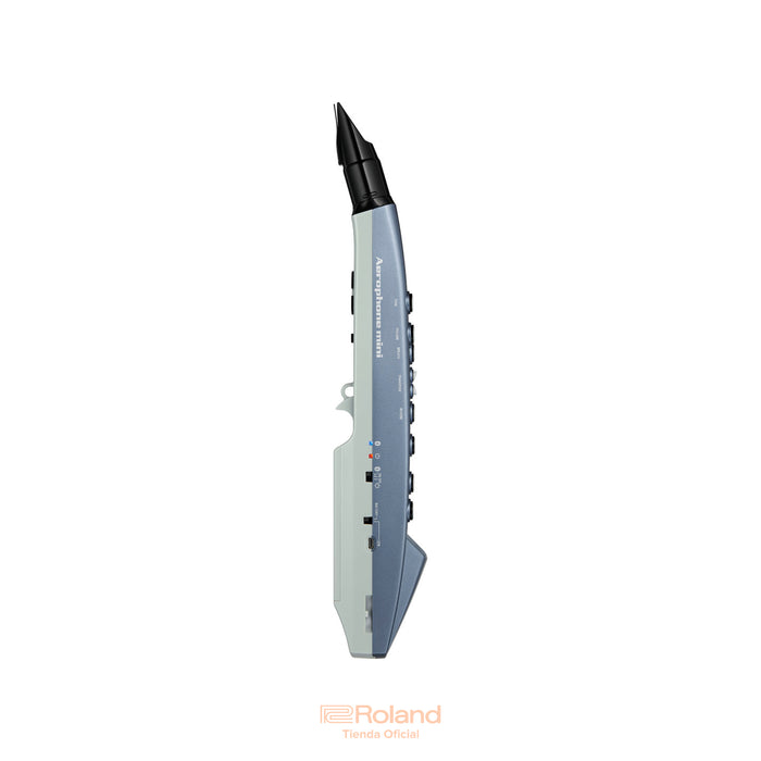 AE-01 Aerophone mini
