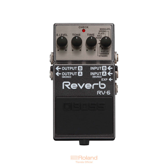 RV-6 Reverb