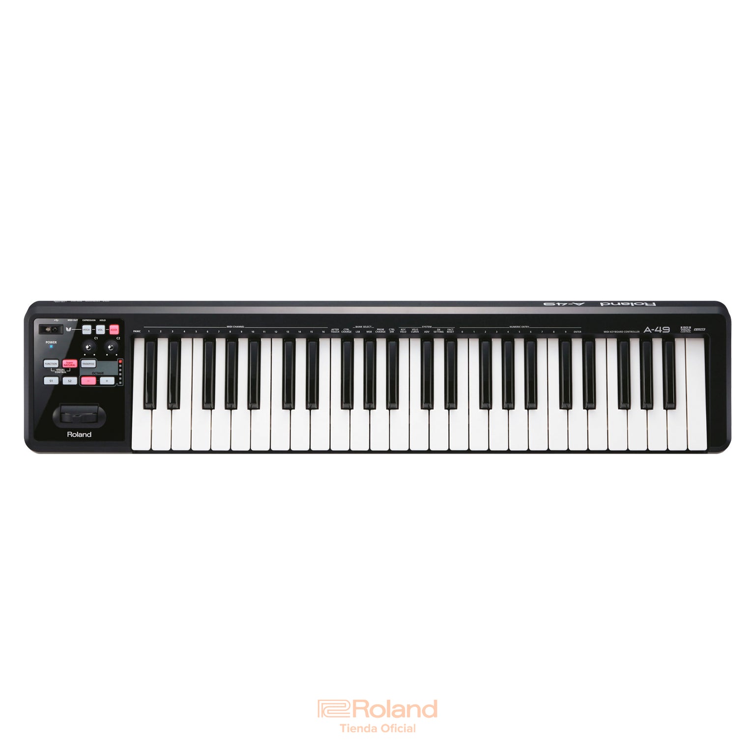 Rolanda Instrument Roland — Roland México